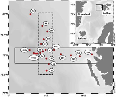 Inter-Annual Variability of Organic Carbon Concentration in the Eastern Fram Strait During Summer (2009–2017)